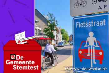 STEMTEST. Wat zeggen de Arendonkse partijen over Rode Del en uitbreiding zone 30 in dorpscentrum?