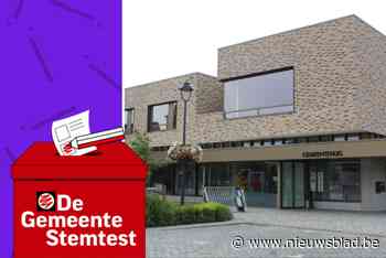 STEMTEST. “Er moet extra parking komen in het centrum”: wat zeggen de partijen in Laakdal?