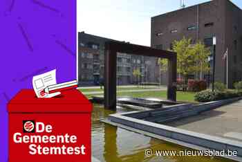 STEMTEST. Daling van de belastingen: wat zeggen de partijen in Dessel?
