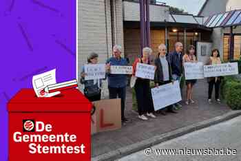 STEMTEST. “Ringlaan moet verlengstuk krijgen met nieuwe ontsluitingsweg richting Retieseweg”: wat zeggen de partijen in Geel?