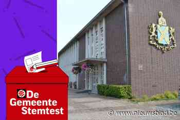 STEMTEST. “Daling van de belastingen”: wat zeggen de partijen in Balen?