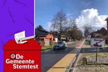 STEMTEST. “Vosselaar moet een fusie met Beerse overwegen”: wat zeggen de partijen?