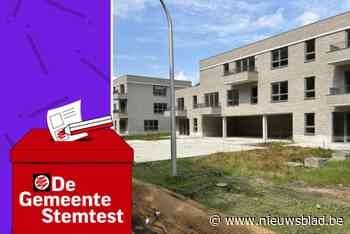 STEMTEST. “Er mogen geen sociale woningen bijkomen”: wat zeggen de partijen in Brasschaat?