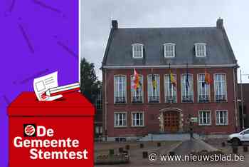 STEMTEST. “Merksplas moet een fusie aangaan met Rijkevorsel”: wat zeggen de partijen?
