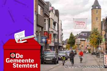 STEMTEST. Fusie met Puurs-Sint-Amands: wat zeggen de partijen in Bornem?