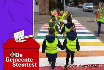 STEMTEST. “Zandhoven heeft een regenboogzebrapad nodig”: wat zeggen de partijen?