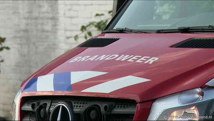 Biddinghuizen - Kitten van paar dagen oud dood na dumpen in ondergrondse container