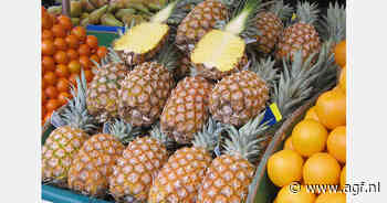 Ananas in winkelwagentje nodigt uit tot flirten