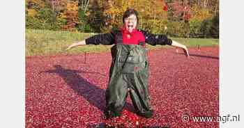 Boek een cranberryduik in Ontario
