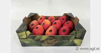 Nog de hele maand september Spaanse Irwin mango's