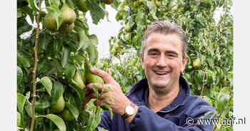 "Kwaliteit Elstar ongelofelijk goed, met Conference moeten we dit jaar rekening houden met een hageltje"