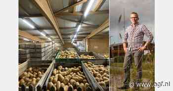 "Vraag naar vroege pompoenen al verrassend hoog"