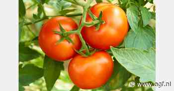 Het verband tussen gezond telen, gezonde voeding en gezondheid