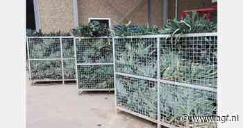 "Nieuwe bio-prei komt op een aantrekkende biologische markt"