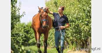 "Een mooie weergave van de combinatie van topsport en een bedrijf runnen"