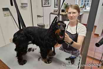 Margaux (20) opent hondentrimsalon in Deurle: “Ik praat tegen de honden en leg hen uit wat ik doe”