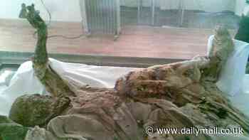 Disturbing images of the 'Salt Men of Iran' mummies show their exact moment of death more than 2,500 years ago