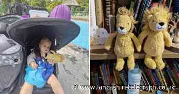Mother desperate to reunite her son with toy lion he can't sleep without