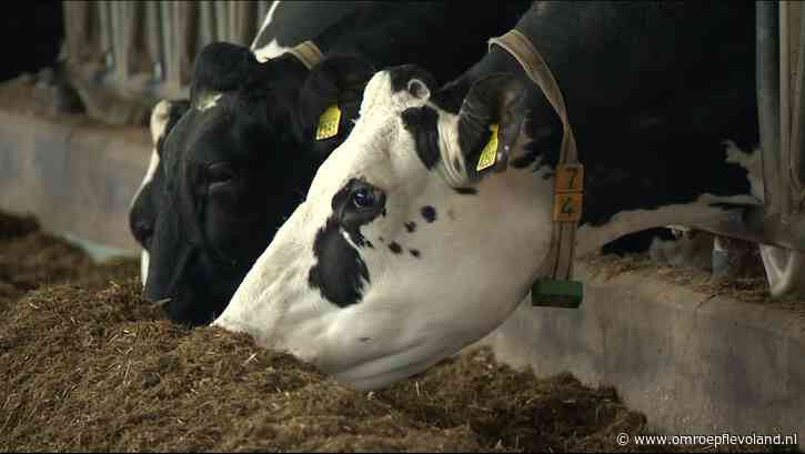 Flevoland - Flevoland hoeft van het Rijk geen stikstofuitstoot meer te verminderen