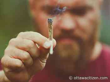 Johnson: Canada's cannabis use has become a serious problem