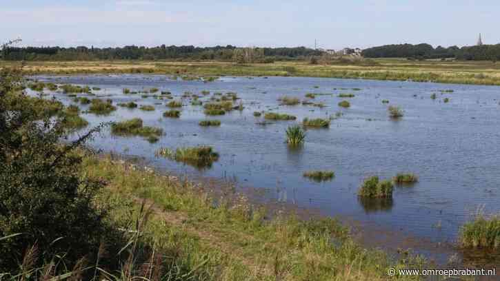 Boswachter Erik verbijsterd over schrappen natuurplannen: 'Ontzettend dom'