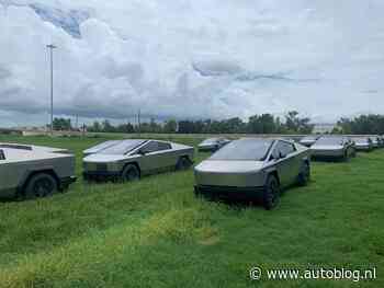 Gespot – Een weiland vol met onverkochte Tesla Cybertrucks