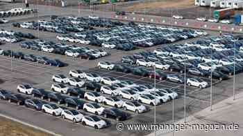 Elektroauto kaufen: Absatz von Strom-Pkw bricht im August um zwei Drittel ein