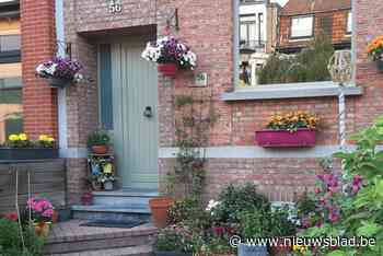 Wedstrijd voor tuinliefhebbers: “Wie heeft de mooiste voortuin of geveltuin van Hoboken?”