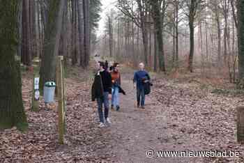 Landschapspark de Merode werkt aan eerste meerdaagse wandelroute: “Vrijwilligers welkom om ervaringen te delen”