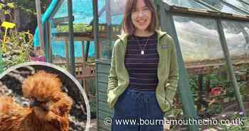 Warning to pet owners as rare animals 'stolen to order' by criminals