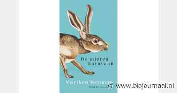 Recent verschenen: De mierenkaravaan van Mariken Heitman