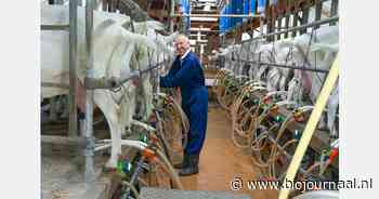 Opvolger gevonden voor biologische geitenboerderij Vliek