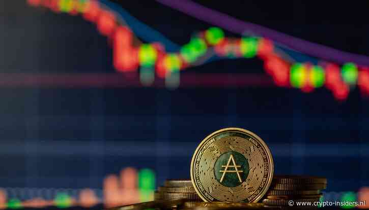 Terwijl cardano hard daalt, blijft de oprichter bitcoin bekritiseren