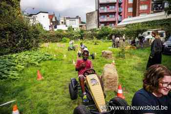 Borgerhoutse ‘Rafelrand’ zet buurt in de verf tijdens feest: gocarts, muziek en lekkernijen