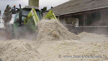 Veehouder kocht minder vochtrijke diervoeders