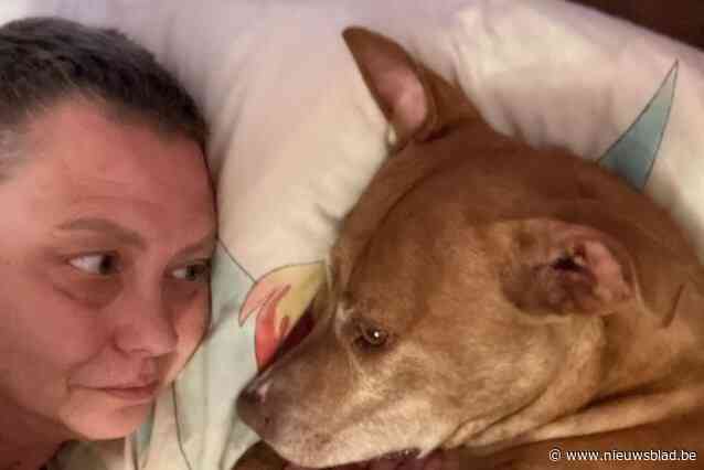 Politie brengt hond na brand naar asiel: “Zora is mijn toeverlaat nu ik zelf ziek ben, waarom is asiel op zondag onbereikbaar?”