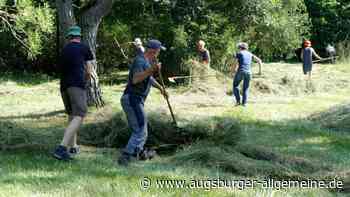 Pflege der Hurlacher Heide