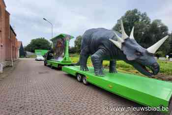 Levensechte dino’s brullen verzamelen op kerkplein in Schelle