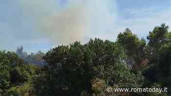 Incendi a Roma, brucia ancora Monte Carnevale. Rogo a Sacrofano e treni in tilt