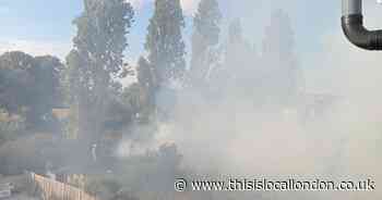 Fire near park burns through 15 metres of fences and trees