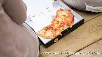 Ulmer Pizza-Service im Visier: Nagerkot und tote Schaben entdeckt