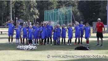 Fußballcamp in Würzbach: Renommierter Trainer zeigt  Nachwuchskickern Tricks