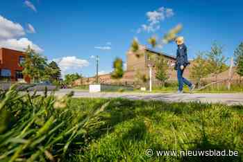 Twee mannen slaan op de vlucht voor politiecontrole en gooien pakket met drugs in Dijle