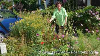 Wie Straßengrün in Wolfenbüttel zu Unmut führen kann