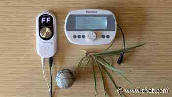 Are Automatic Houseplant Watering Systems Worth it? I Tested 2 to Find Out