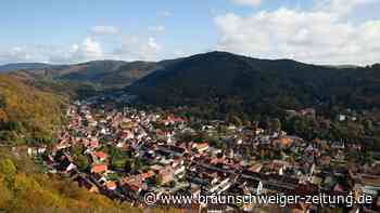 Neu im Harz: Diese Attraktion plant Schierker Feuerstein bei Bad Lauterberg