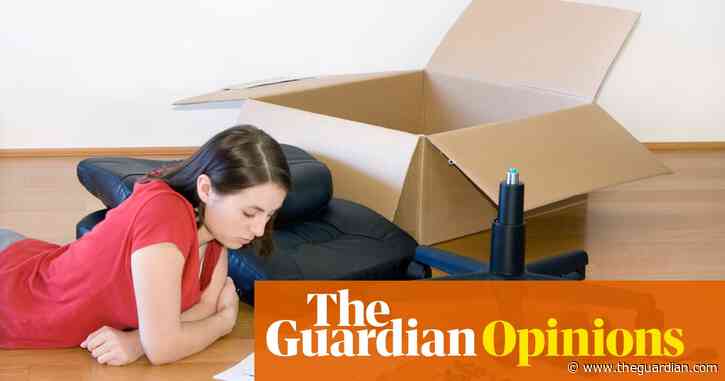 Furniture to assemble? There’s an app for that – because no one wants to do anything for themselves any more | Rachel Connolly