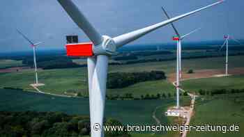 Enthüllt: Das kassieren Gifhorns Landeigner mit Wind-Pacht