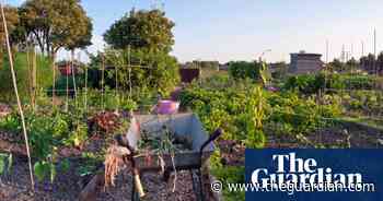 ‘Better than medication’: prescribing nature works, project shows