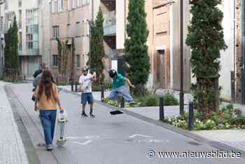 Is een skater een voetganger of een fietser? UHasselt ontrafelt ingewikkelde wetgeving